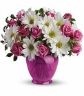 Pink Daisy Delight